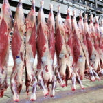 Argentina Volvió a Exportar Carne Bovina a África