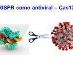 Estudian la destrucción del material genético del SARS-COV-2 mediante la herramienta CRISPR