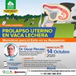 WEBINAR GRATIS: Prolapso Uterino en Vaca Lechera