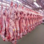Frigoríficos Exportadores de Argentina Estarían Suspendiendo Faenas debido a stocks de Carne Acumulados