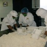 En Venezuela: Lácteos Los Andes Incrementa Producción de Queso de Cabra