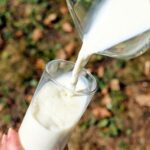 USDA anuncia Inversión Millonaria para la Innovación Empresarial de Productos Lácteos