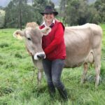 Romero y Vacas lecheras: Combinación Exitosa
