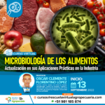 Curso Virtual: Microbiología de los Alimentos - Actualización en sus Aplicaciones Prácticas en la Industria