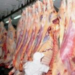 Paraguay está más cerca de empezar a exportar carne a Estados Unidos