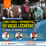 Curso On Line Multidocente: Clínica Médica y Reproductiva en Vacas Lecheras