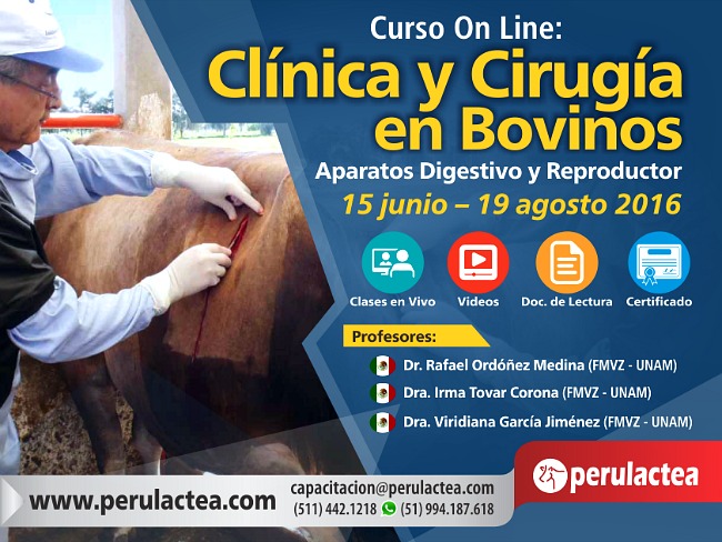 Clinica_y_Cirugia_de_Bovinos
