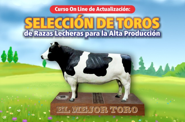 Seleccion_de_Toros_Razas_Lecheros