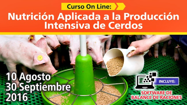 curso_alimentacion_de_cerdos_via_internet