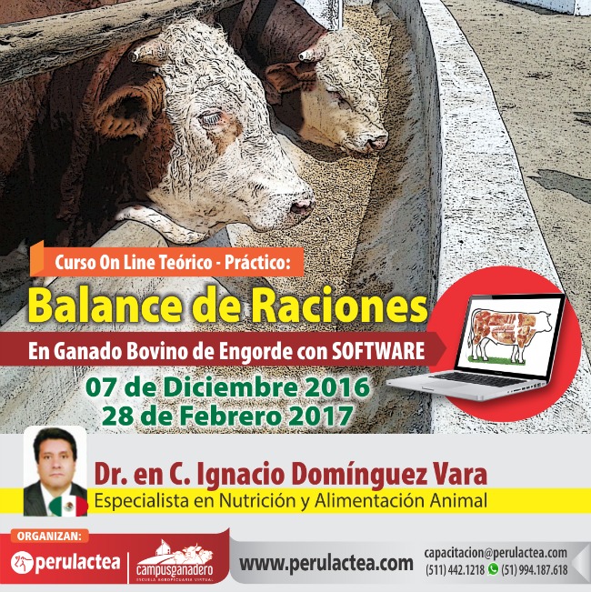 curso_online_balance_raciones_bovinos_engorde_2016